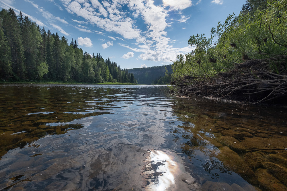 Воды реки Усьвы холодные и прозрачные даже в самый жаркий день в году. Вдали темнеет массив Усьвинских столбов